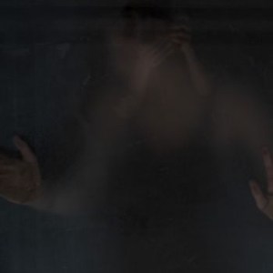 Frost Ben - Wasp Factory i gruppen CD / Pop-Rock hos Bengans Skivbutik AB (2236658)