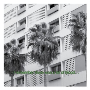 Bunny Tylers - Glitches And Drones 2013-16 i gruppen CD / Rock hos Bengans Skivbutik AB (2239340)