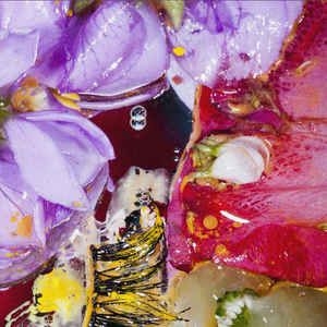 Virginia Wing - Forward Constant Motion i gruppen CD / Rock hos Bengans Skivbutik AB (2249635)