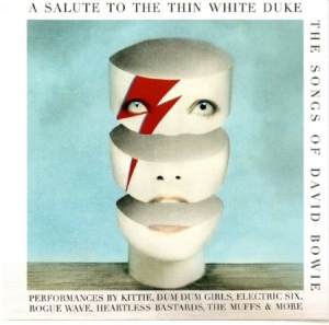 Blandade Artister - A Salute To The Thin White Duke i gruppen VINYL / Pop hos Bengans Skivbutik AB (2249677)