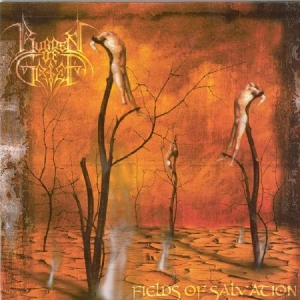 Burden Of Grief - Fields Of Salvation i gruppen CD / Rock hos Bengans Skivbutik AB (2249838)