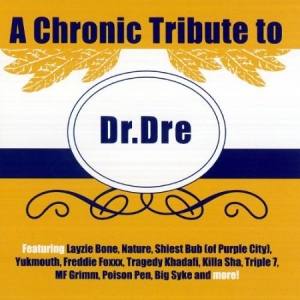 Blandade Artister - A Chronic Tribute To Dr. Dre i gruppen CD / Hip Hop hos Bengans Skivbutik AB (2250035)