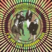 Hillage Steve - Madison Square Garden 1977 i gruppen VINYL / Pop-Rock hos Bengans Skivbutik AB (2250327)