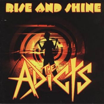 Toy Dolls - Covered In Toy Dolls i gruppen CD / Toppsäljare hos Bengans Skivbutik AB (2253877)