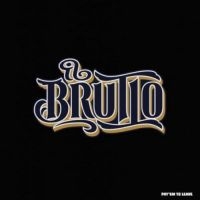 Il Brutto - Pay'em To Leave i gruppen VINYL / Pop-Rock hos Bengans Skivbutik AB (2255793)