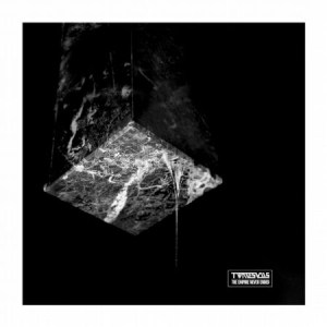 Twinesuns - Empire Never Ended i gruppen VI TIPSAR / Blowout / Blowout-LP hos Bengans Skivbutik AB (2258557)