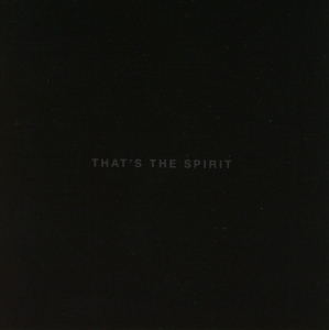 Bring Me The Horizon - That's The Spirit i gruppen CD / Pop-Rock hos Bengans Skivbutik AB (2262308)