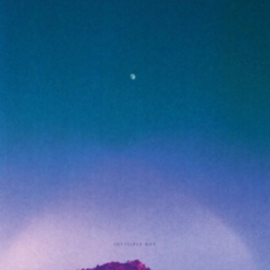 Invisible Boy - Invisible Boy i gruppen CD / Pop-Rock hos Bengans Skivbutik AB (2262846)