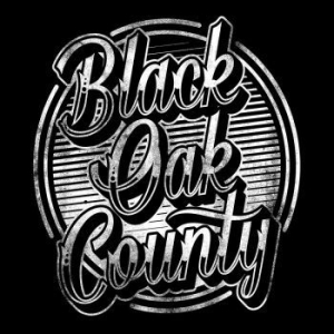 Black Oak County - Black Oak County i gruppen VINYL / Hårdrock/ Heavy metal hos Bengans Skivbutik AB (2263654)