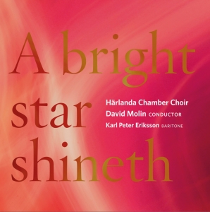 Härlanda Chamber Choir David Molin - A Bright Star Shineth i gruppen Externt_Lager / Naxoslager hos Bengans Skivbutik AB (2263673)