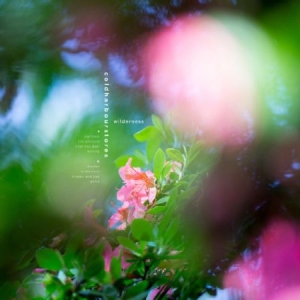 Coldharbourstores - Wilderness i gruppen VINYL / Rock hos Bengans Skivbutik AB (2264482)