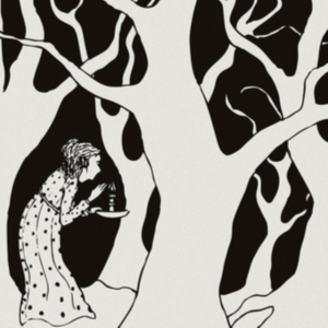 Shadow Band - Wilderness Of Love i gruppen VINYL / Rock hos Bengans Skivbutik AB (2278917)