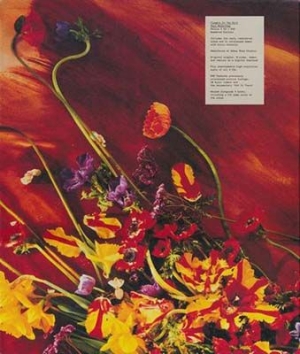 Paul McCartney - Flowers In The Dirt (Ltd 3Cd+Dvd) i gruppen CD / Pop hos Bengans Skivbutik AB (2281679)