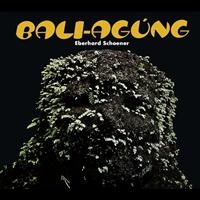 Schoener Eberhard - Bali Agung (Cd+Dvd) i gruppen CD / Pop-Rock hos Bengans Skivbutik AB (2287772)