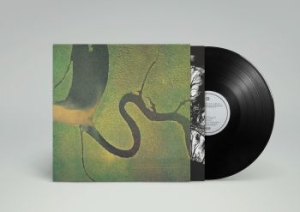 Dead Can Dance - The Serpent's Egg (Reissue) i gruppen VINYL / Pop-Rock hos Bengans Skivbutik AB (2298711)