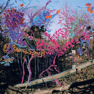 Animal Collective - Here Comes The Indian(Vinyl) i gruppen VINYL / Pop-Rock hos Bengans Skivbutik AB (2363601)