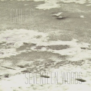Gailes - Seventeen Words i gruppen VINYL / Rock hos Bengans Skivbutik AB (2366318)