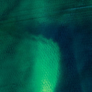 Grosse Katharina & Stefan Schneider - Tiergarten i gruppen VINYL / Pop hos Bengans Skivbutik AB (2377253)