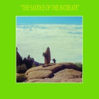 Sun Araw - The Saddle Of The Increate i gruppen VINYL / Pop-Rock hos Bengans Skivbutik AB (2392777)