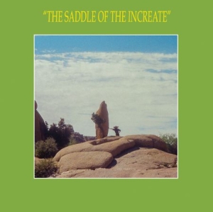 Sun Araw - Saddle Of The Increate i gruppen CD / Rock hos Bengans Skivbutik AB (2392778)