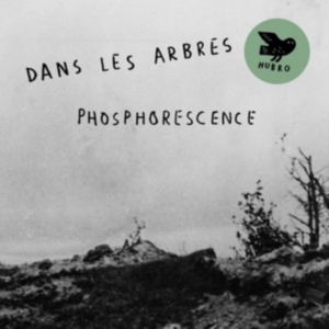 Dans Les Arbres - Phosphorensence i gruppen CD / Jazz hos Bengans Skivbutik AB (2396044)