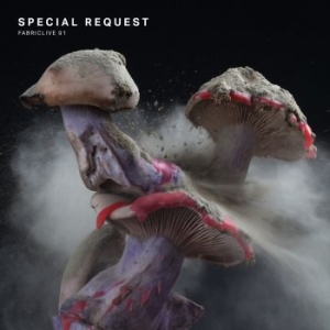 Special Request - Fabriclive 91 i gruppen CD / Dans/Techno hos Bengans Skivbutik AB (2396947)
