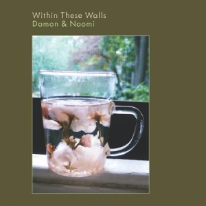 Damon & Naomi - Within These Walls i gruppen VINYL / Pop hos Bengans Skivbutik AB (2400116)