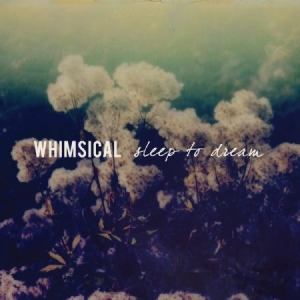 Whimsical - Sleep To Dream i gruppen VINYL / Rock hos Bengans Skivbutik AB (2400141)