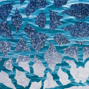 El Nino & The Southern Oscillations - El Nino & The Southern Oscillations i gruppen VINYL / Pop-Rock hos Bengans Skivbutik AB (2400151)