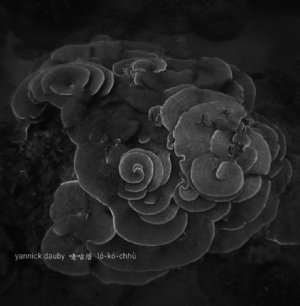 Dauby Yannick - Coral House - Penghu Experimental S i gruppen VINYL / Elektroniskt hos Bengans Skivbutik AB (2400204)