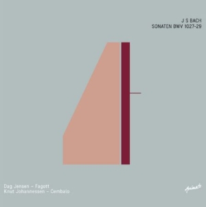 Jensen Dag & Johannessen Knut - J S Bach Sonaten Bwv 1027-29 i gruppen CD / Pop hos Bengans Skivbutik AB (2404041)