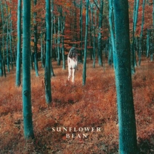 Sunflower Bean - I Hear Voices i gruppen VINYL / Rock hos Bengans Skivbutik AB (2404709)