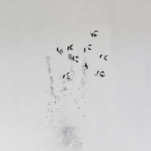 Ikeda Ken + David Toop - Skin Tones i gruppen CD / Rock hos Bengans Skivbutik AB (2404745)