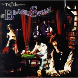 Triffids - Black Swan i gruppen CD / Rock hos Bengans Skivbutik AB (2414252)