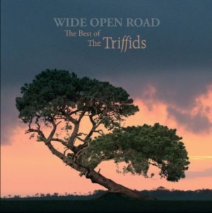 Triffids - Wide Open RoadBest Of i gruppen CD / Rock hos Bengans Skivbutik AB (2414254)