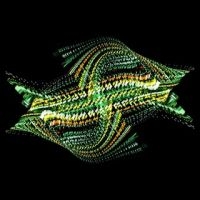 Bogus Order - Zen Brakes Vol. 2 i gruppen CD / Kommande / Dans/Techno hos Bengans Skivbutik AB (2414833)