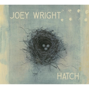 Wright Joey - Hatch i gruppen CD / Pop-Rock hos Bengans Skivbutik AB (2417819)