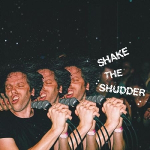!!! (Chk Chk Chk) - Shake The Shudder i gruppen CD / Pop-Rock hos Bengans Skivbutik AB (2417959)