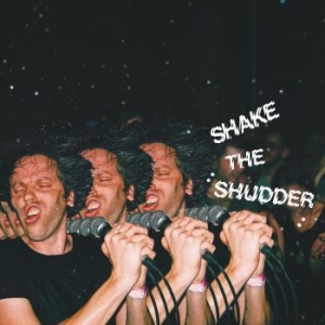 !!! (Chk Chk Chk) - Shake The Shudder i gruppen VINYL / Pop-Rock hos Bengans Skivbutik AB (2417960)