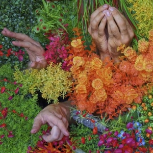 Blood Wine Or Honey - Anxious Party People i gruppen VINYL / Rock hos Bengans Skivbutik AB (2422561)