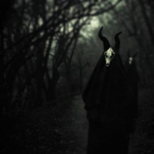 White Ward - Futility Report i gruppen CD / Hårdrock/ Heavy metal hos Bengans Skivbutik AB (2423314)