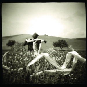 Jungklas Rob - Blackbirds i gruppen CD / Pop-Rock hos Bengans Skivbutik AB (2433384)