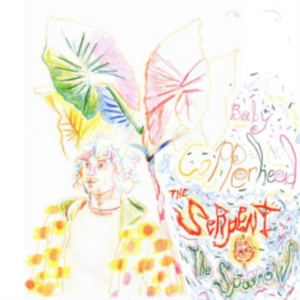 Baby Copperhead - The Serpant And The Sparrow i gruppen CD / Elektroniskt,Svensk Folkmusik hos Bengans Skivbutik AB (2433461)