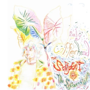 Baby Copperhead - Serpent And The Sparrow i gruppen VINYL / Elektroniskt,World Music hos Bengans Skivbutik AB (2433462)