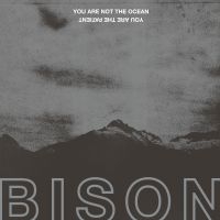 Bison - You Are Not The Ocean You Are The P i gruppen VINYL / Toppsäljare hos Bengans Skivbutik AB (2437222)