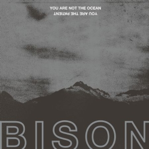 Bison - You Are Not The Ocean You Are The P i gruppen CD / Pop-Rock hos Bengans Skivbutik AB (2437223)