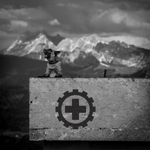 Laibach - Also Sprach Zarathustra i gruppen VINYL / Elektroniskt,Pop-Rock hos Bengans Skivbutik AB (2461931)