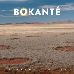 Bokante - Strange Circles i gruppen CD / Elektroniskt hos Bengans Skivbutik AB (2478585)