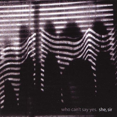 She Sir - Who Can't Say Yes i gruppen VINYL / Rock hos Bengans Skivbutik AB (2478655)