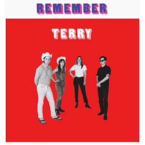 Terry - Remember Terry i gruppen VINYL / Rock hos Bengans Skivbutik AB (2478695)